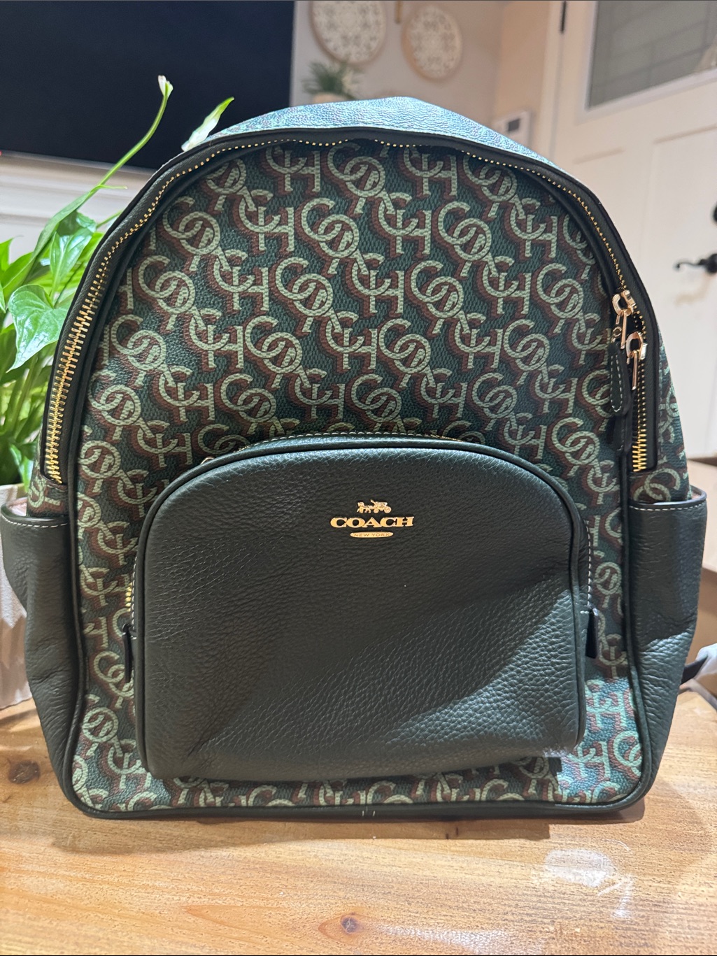 Coach Green & Brown Signature Canvas Crossbody